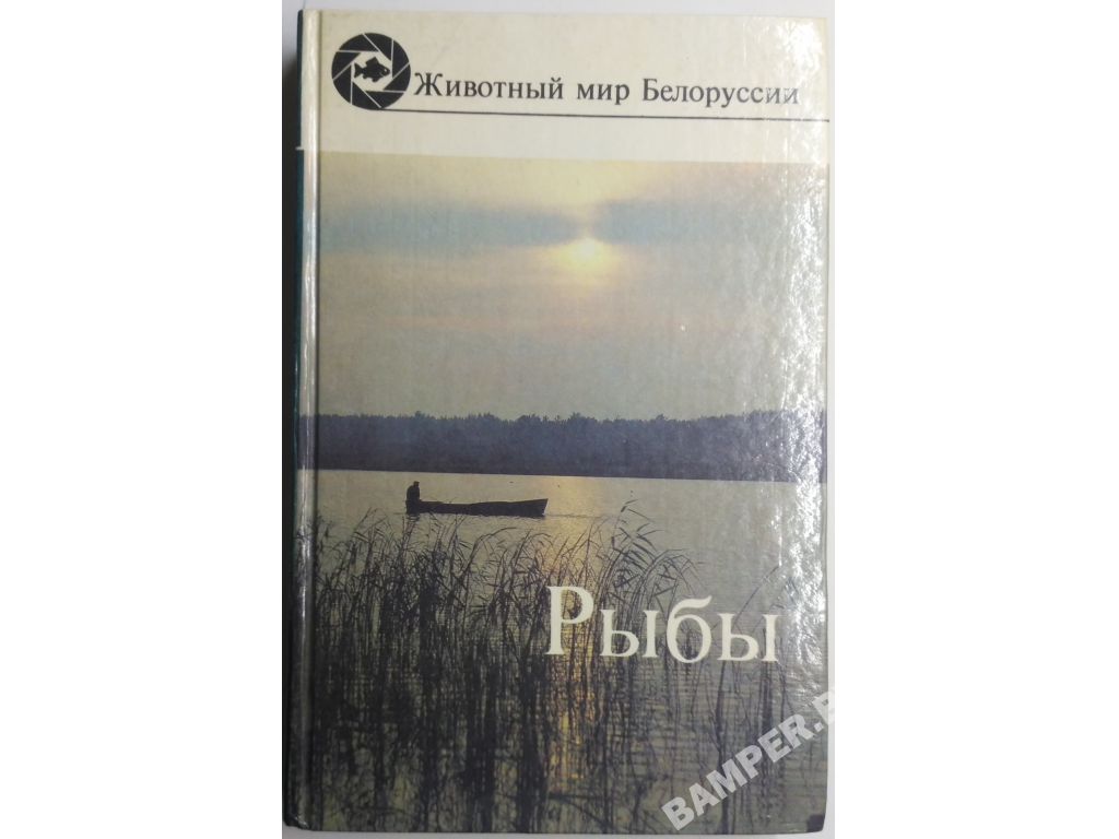 Рыбы/энциклопедический справочник (311 стр., 1989)
